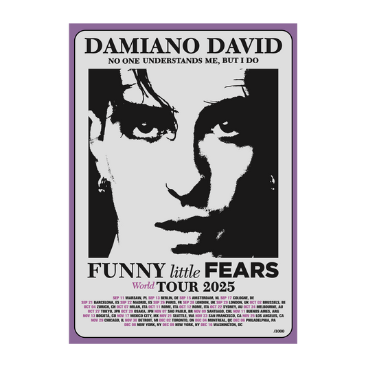 A2 Funny Little Fears Tour Poster